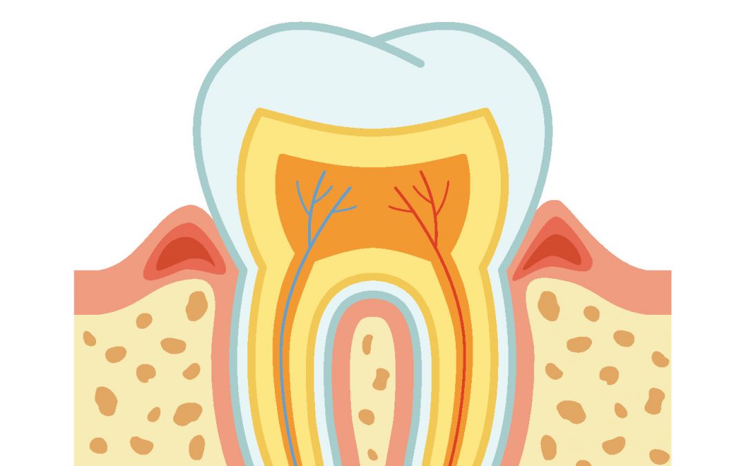 Gingivitis the johns hopkins patient guide to diabetes